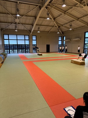 061003　エンジョイスポーツ　器械体操06